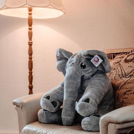 Appartamento Olifant In Osterode Osterode am Harz Esterno foto
