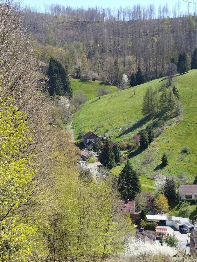 Appartamento Olifant In Osterode Osterode am Harz Esterno foto