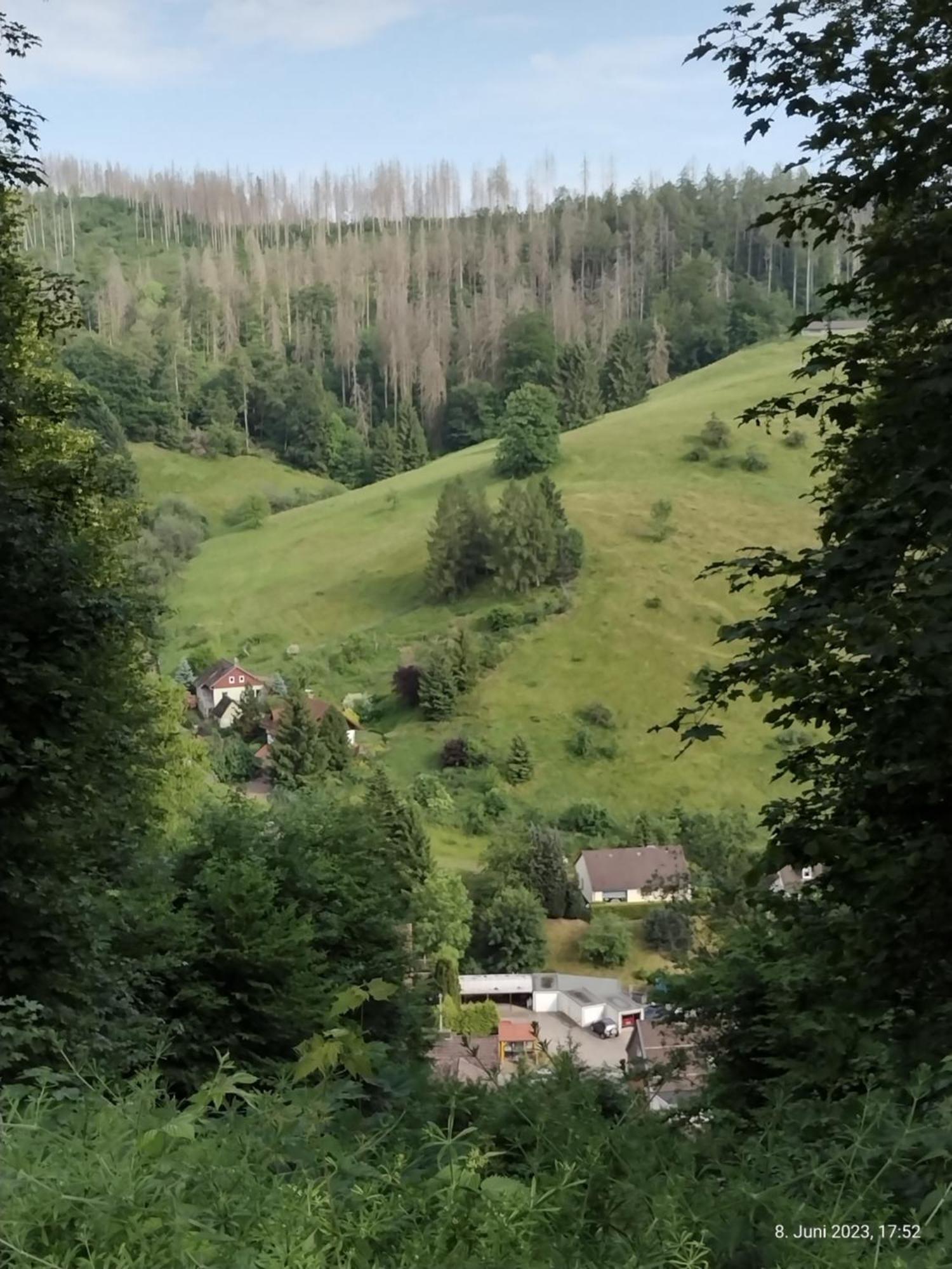 Appartamento Olifant In Osterode Osterode am Harz Esterno foto