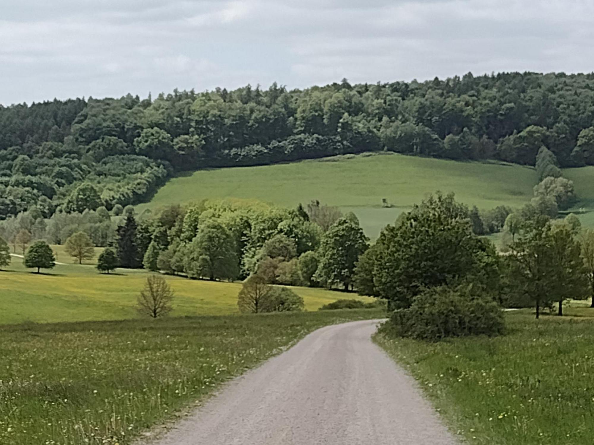 Appartamento Olifant In Osterode Osterode am Harz Esterno foto